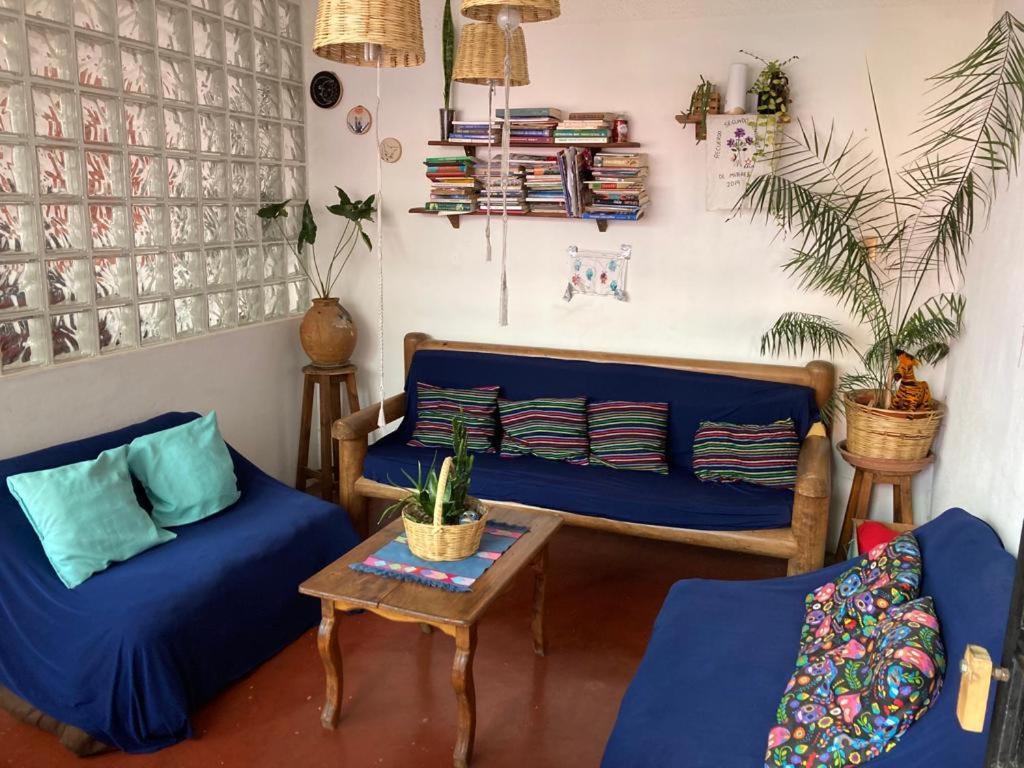 Casa Huipil 호텔 San Cristóbal de Las Casas 외부 사진